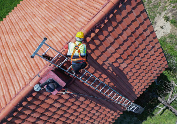 Best Roof Moss and Algae Removal  in Middlesex, NC